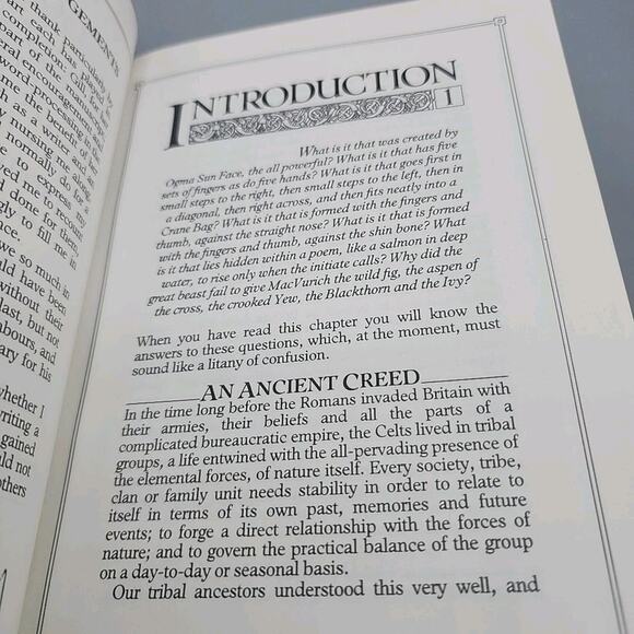 The Celtic Tree Oracle System of Divination First US Edition Hardcover - Picture 10 of 16